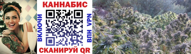 Шишки марихуана Bruce Banner  Горячий Ключ 